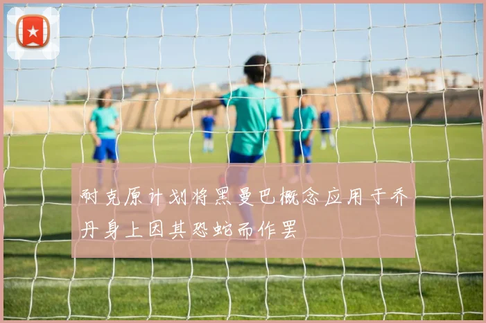 耐克原计划将黑曼巴概念应用于乔丹身上因其恐蛇而作罢